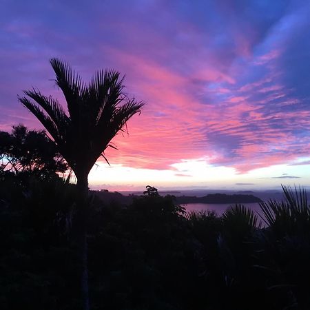 Nikau Apartments Waiheke Island Onetangi Екстер'єр фото