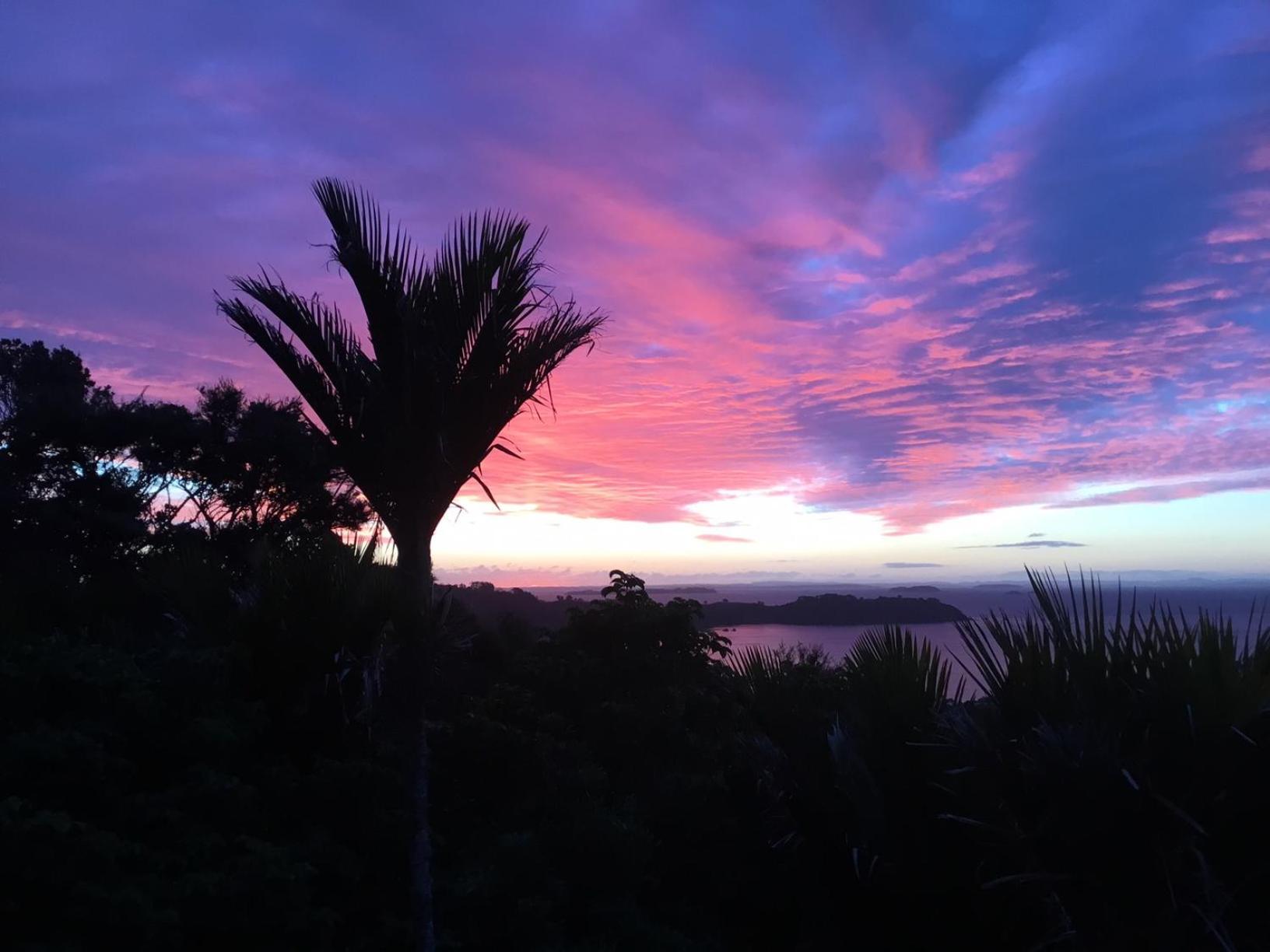 Nikau Apartments Waiheke Island Onetangi Екстер'єр фото